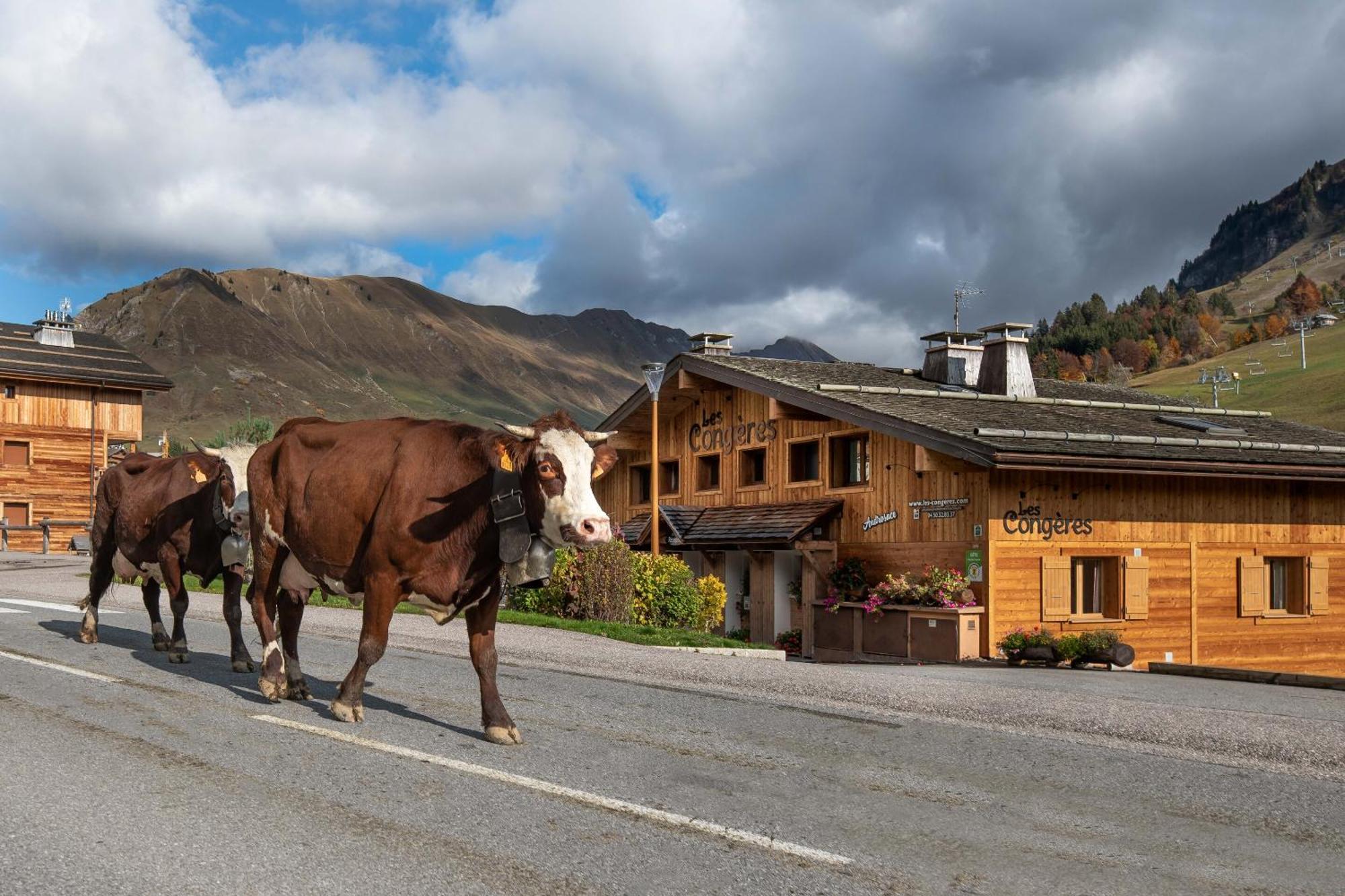 Villa Les Congeres Le Grand-Bornand Zimmer foto